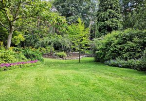 Optimiser l'expérience du jardin à Hurecourt